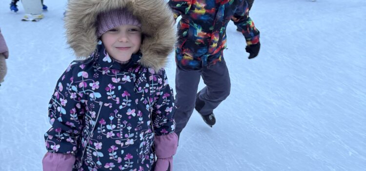 Lodowisko w Puławach